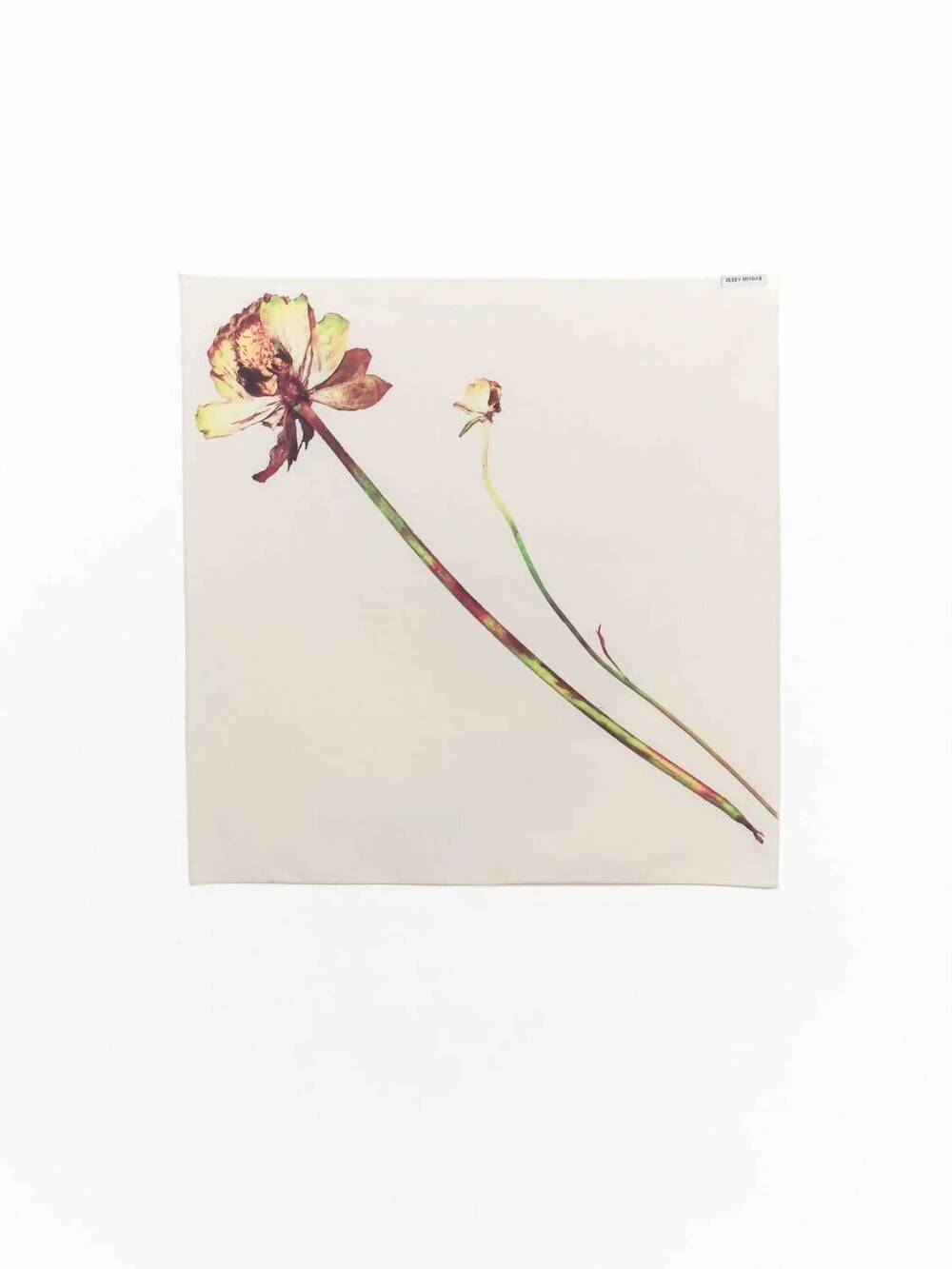 NEW ISSEY MIYAKE women's pressed flora bandana in ranunculus